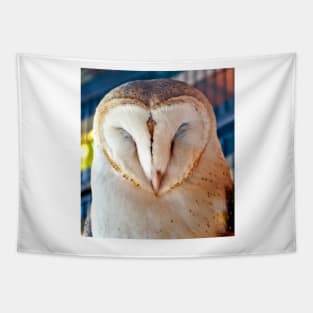 Sleeping Barn Owl Tapestry