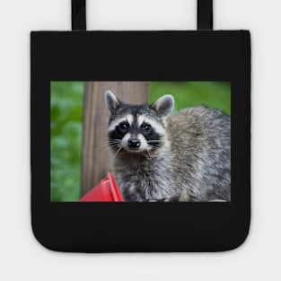 Sad Raccoon Print Tote