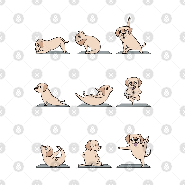 Labrador Retrievers Yoga by huebucket