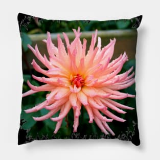 Pink Spiky Dahlia Pillow