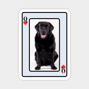 Black Labrador Magnet