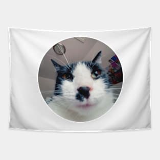 Tuxedo Cat Tapestry