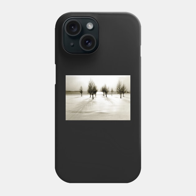 Wintertime in the Netherlands Phone Case by robelf