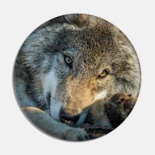 Timber Wolf Pin