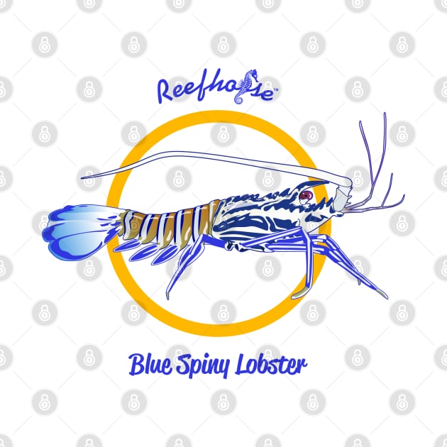 Blue Spiny Lobster by Reefhorse