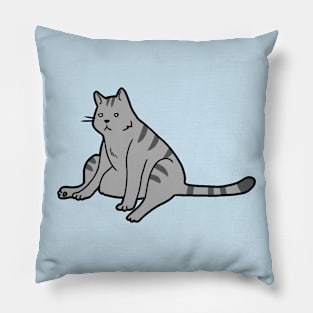 Slouchy Cat Pillow