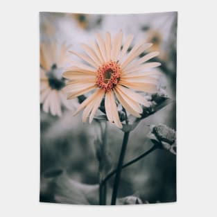 Cup Plant. Yellow Flower Photograph Tapestry