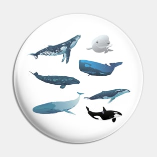 Various Whales Pin