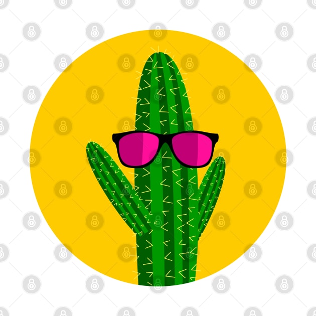 Sunbathing cactus by hyperactive