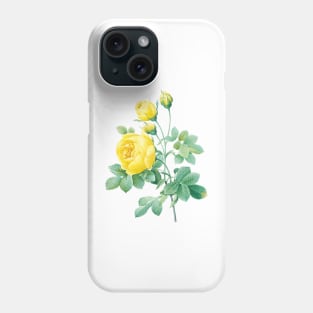 Yellow Rose Flower Vintage Botanical Illustration Phone Case