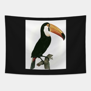 Toco toucan from Histoire Naturelle des Oiseaux de Paradis et Des Rolliers Tapestry