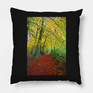 Autumnal Westridge Woods, Cotswolds Pillow