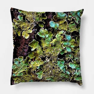 Lichen textures Pillow