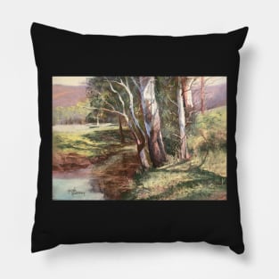 Peaceful Creek, Kangaroo Valley Pillow