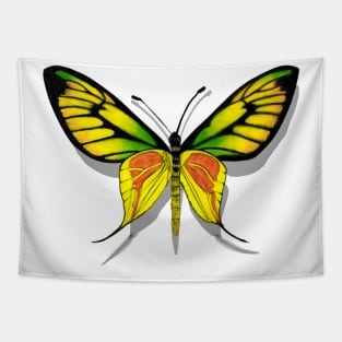 Paradise Birdwing Butterfly with Shadow Tapestry