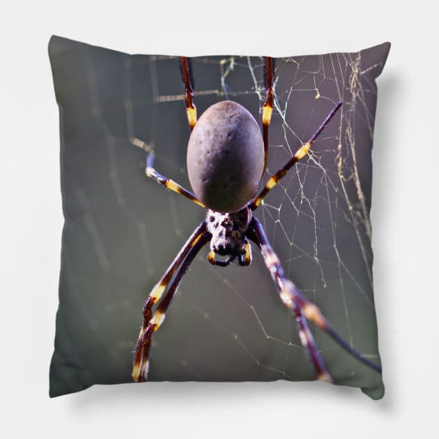 Australian Orb Weaver Spider Pillow by Mickangelhere1