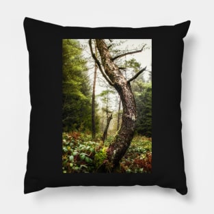 The Greenwood Dancing Pine Pillow