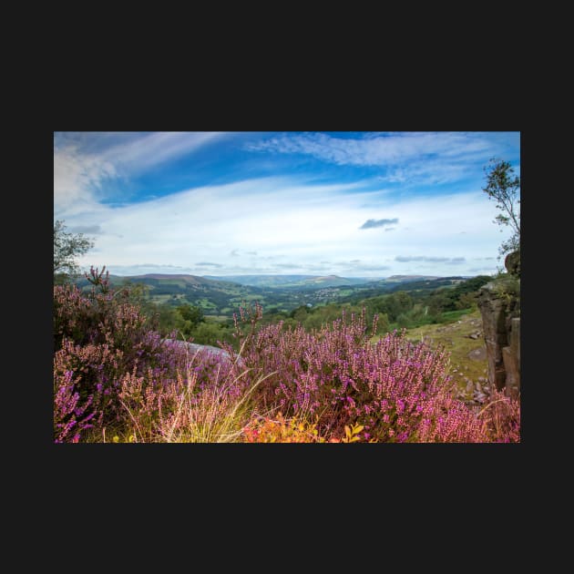 Purple heather overlooking the Hope valley, Derbyshire, UK by Itsgrimupnorth