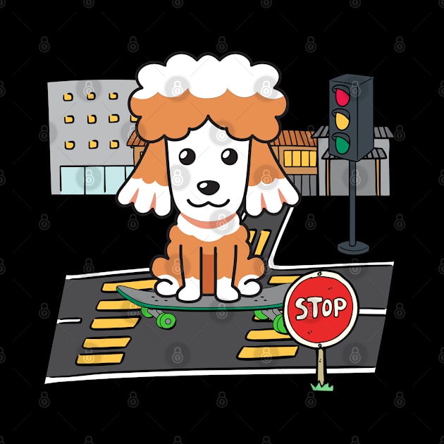 Funny poodle is on a skateboard by Pet Station