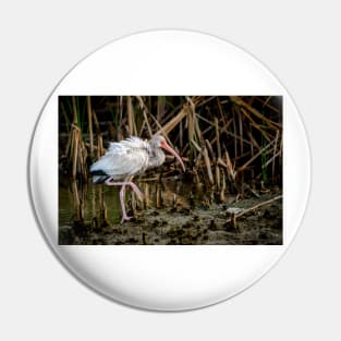 Immature White Ibis On The Move Pin