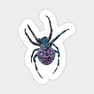 Cotton Candy Spider Fierce Orb-Weaver Pink Purple Blue Magnet