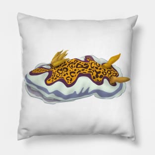 Goniobranchus gleniei Pillow