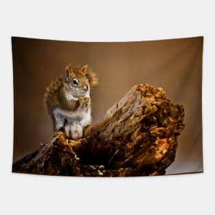 Red Squirrel Tapestry