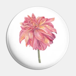 Watercolor daliah watercolor botanical painting pink and yellow Pin