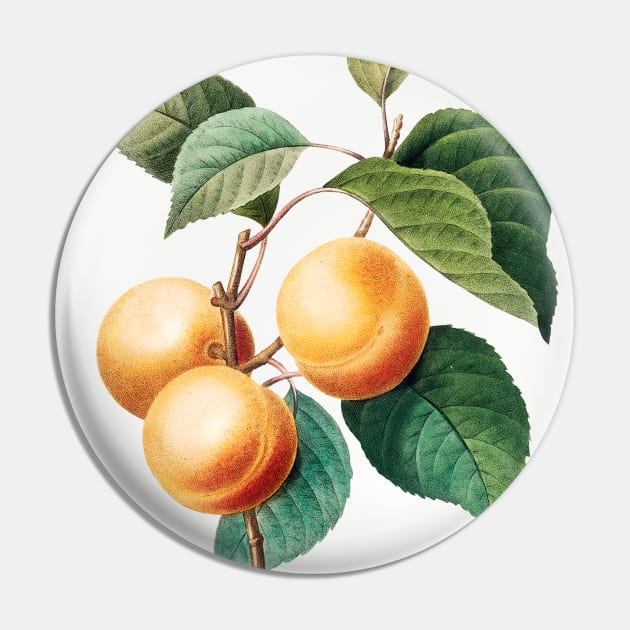 Peaches Pin by WAITE-SMITH VINTAGE ART