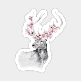 A Buck Watercolor Portrait Magnet