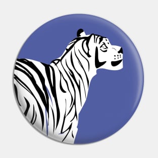 White tiger in peri background Pin