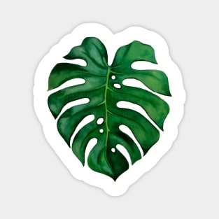 monstera leaf Magnet