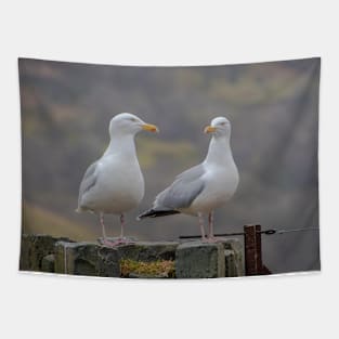 Two Seagulls sitting on a fence Tapestry