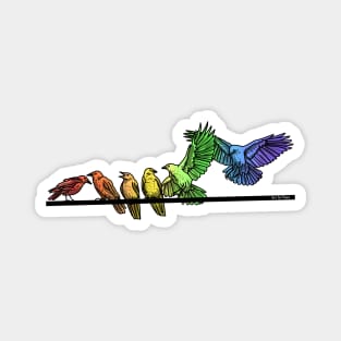 Rainbow Crows Magnet