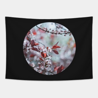 Sakura Cherry Blossom Circle Sticker Tapestry