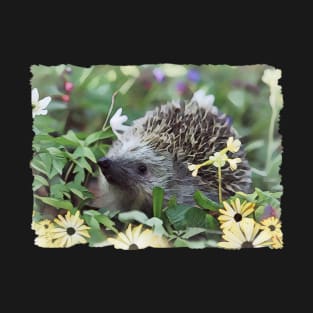 Hedgehog In Flowers T-Shirt