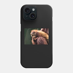 Baby Orangutan, Borneo Phone Case