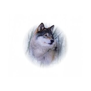 Wolf portrait T-Shirt