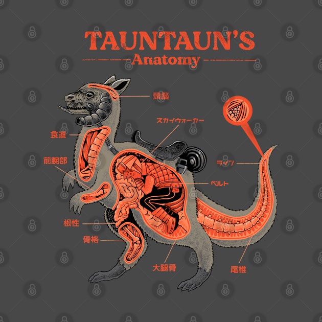 Tauntauns anatomy by ppmid