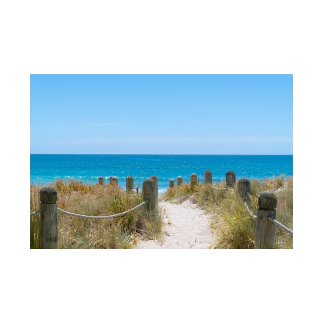 Bollards and ropes line sand track through dunes to Main Beach Mount Maunganui by brians101