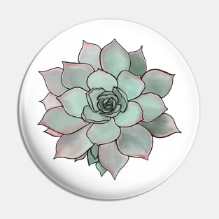 Succulent Plant Pin