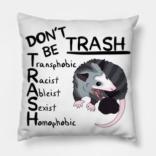 Don’t Be Trash Pillow