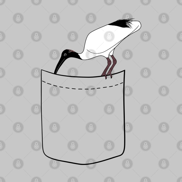 Pocket Bin Chicken by BinChickenBaby