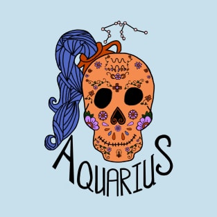 Aquarius Jan 20 - Feb 18 T-Shirt