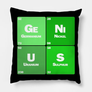 Genius Pillow