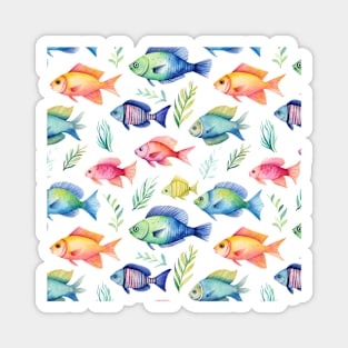 Tropical Fishes Pattern #1 Magnet