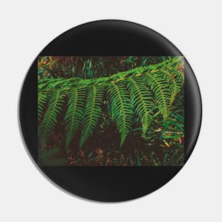 Fern Time Pin