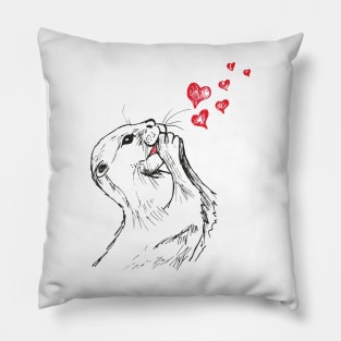 Kissing Otter Pillow