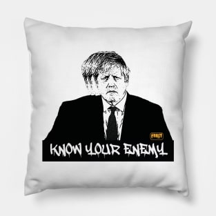 Get Funct Boris Pillow