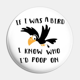 If I was a bird Pin